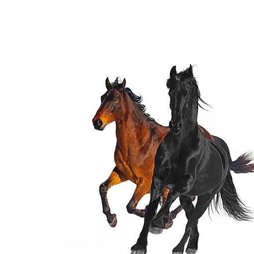 Fortnite Item Shop Old Town Road (Remix)