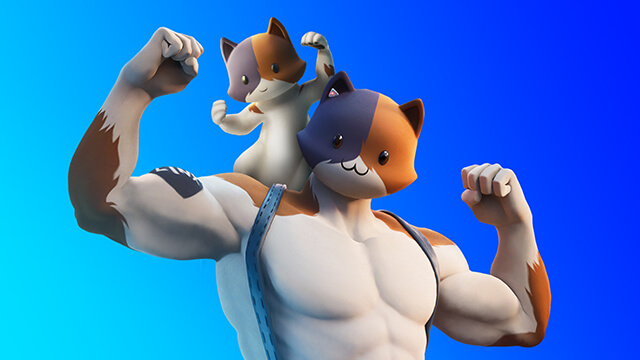 Fortnite Best Fan-Made Skins