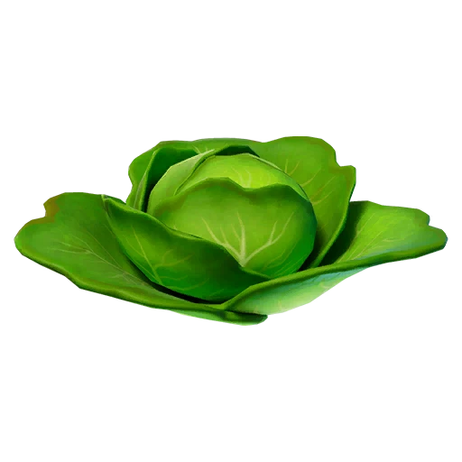 Cabbage